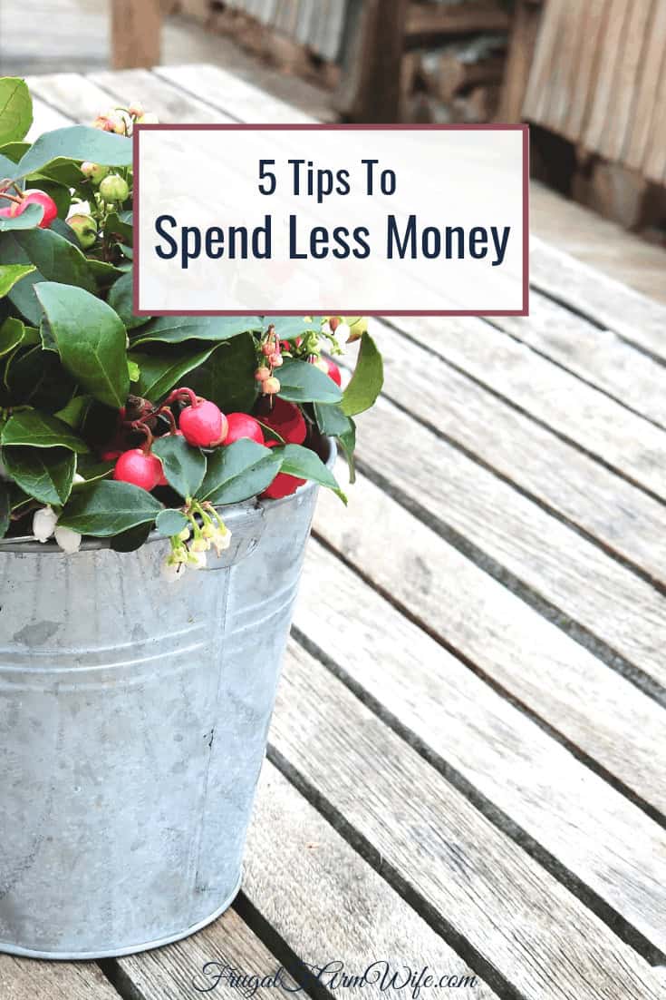 Image shows a tin bucket as an outdoor planter on a picnic table filled with plants and flowers. Text overlay reads "5 Tips to Spend Less Money"