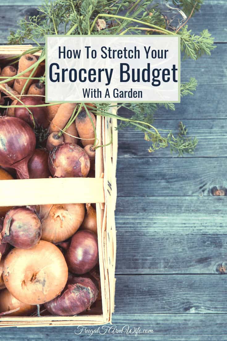 Most Americans spend 15% of their budget on groceries. Here's how you can stretch your grocery budget with a garden!