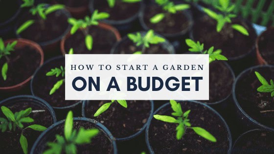 Tips for starting a garden on a budget