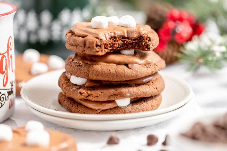 Gluten Free Hot Chocolate Cookies