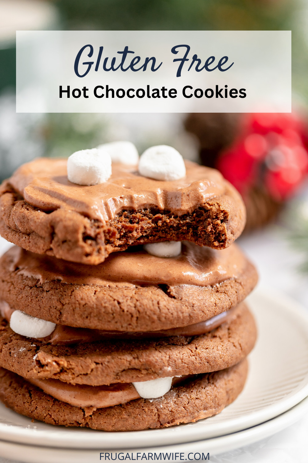 Image shows a stack of gluten free hot chocolate cookies. The top cookie has a bite taken out of it. Text above reads "Gluten Free Hot Chocolate Cookies"