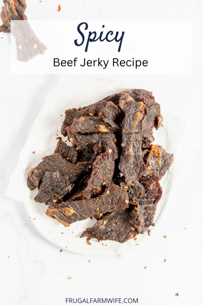 Spicy Beef Jerky Recipe - The Frugal Farm Wife
