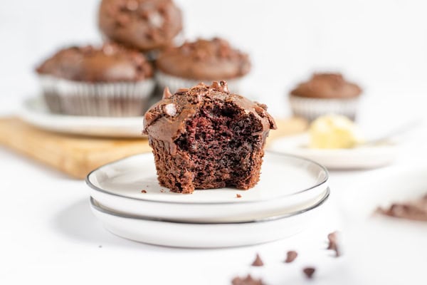 chocolate chocolate chip muffin