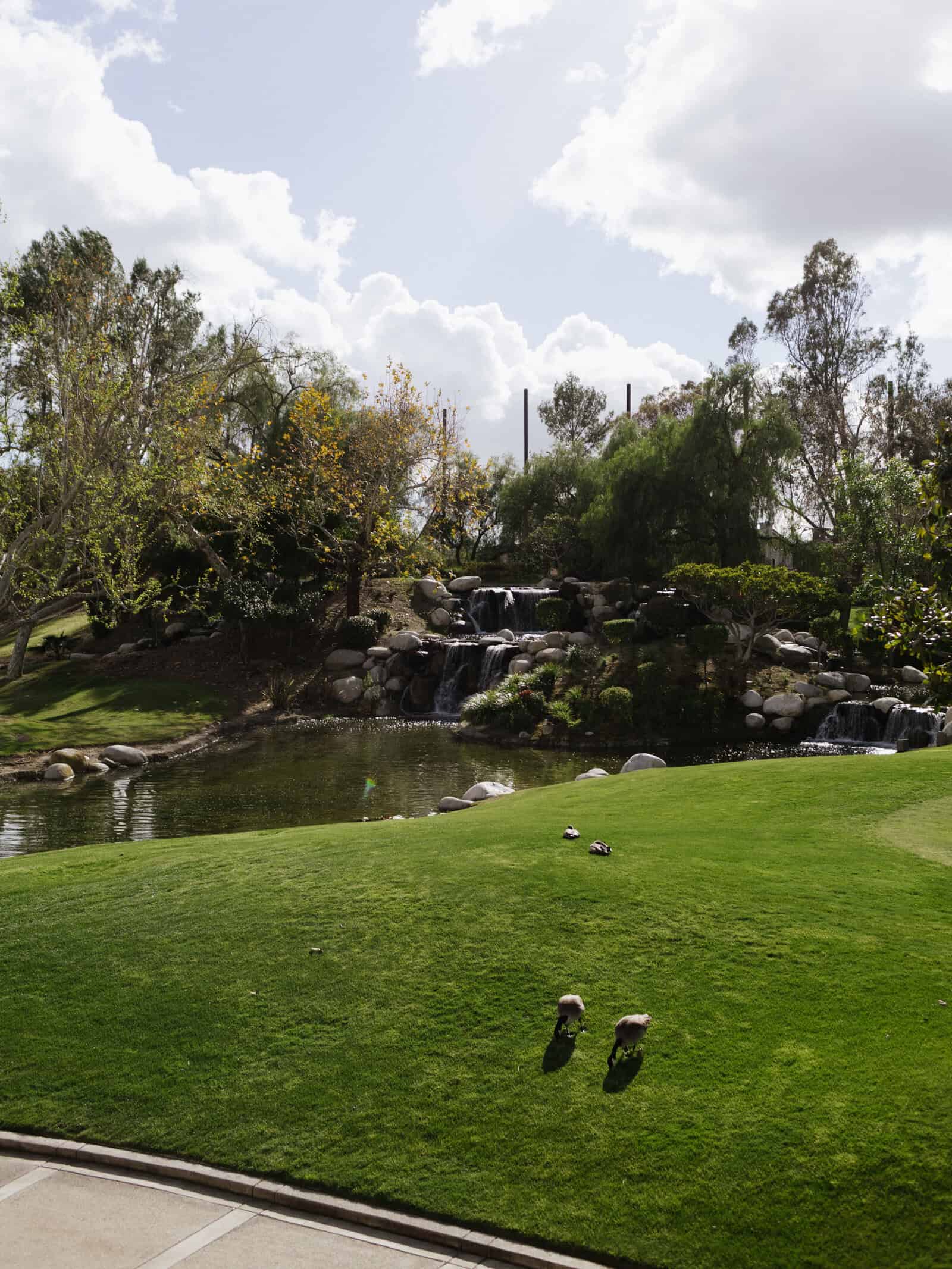 coyote hills golf course fullerton wedding venue-4