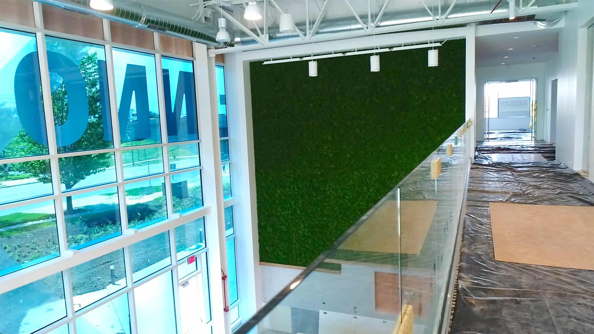 A green wall along a glass outer wall and a glass half wall on the hallway is part of the new DHL Americas Innovation Center.