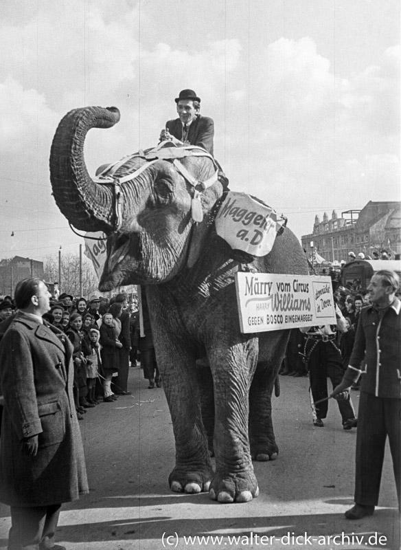 Elefant Marry