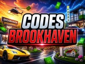 Codes Brookhaven