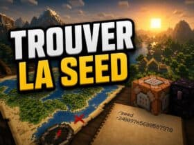 trouver la seed d'un serveur minecraft