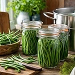 comment stériliser les haricots verts