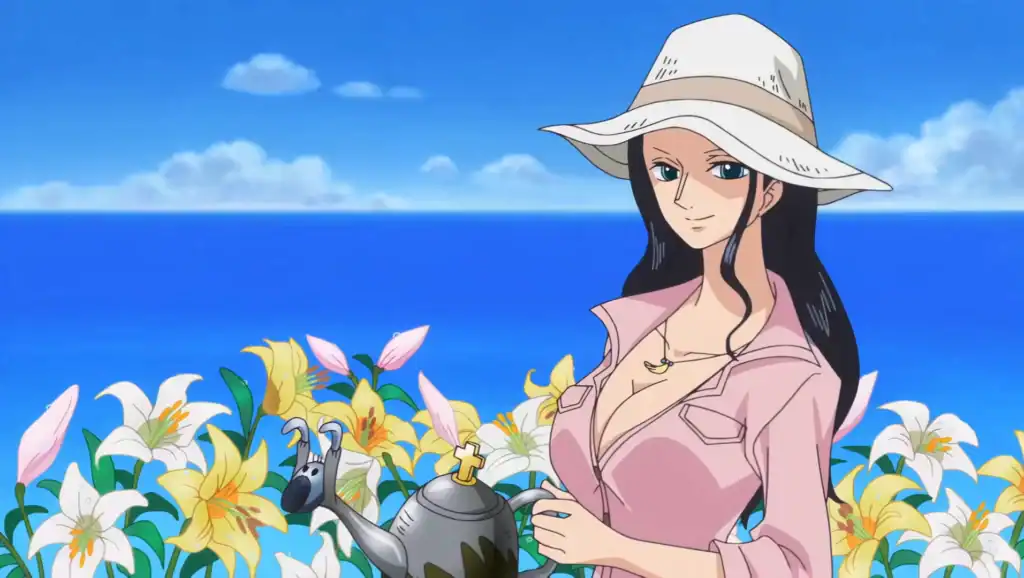 Nico Robin avis