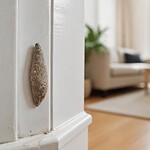 cocon insecte maison