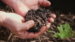 how to make compost at home no dig method