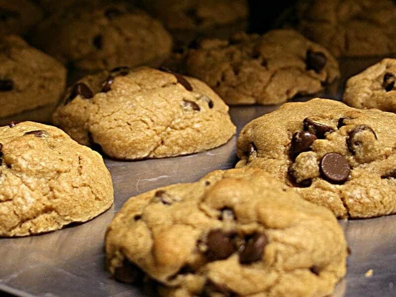 Cookies sans sucre : Recette et conseils utiles 3 cookies sans sucre compote