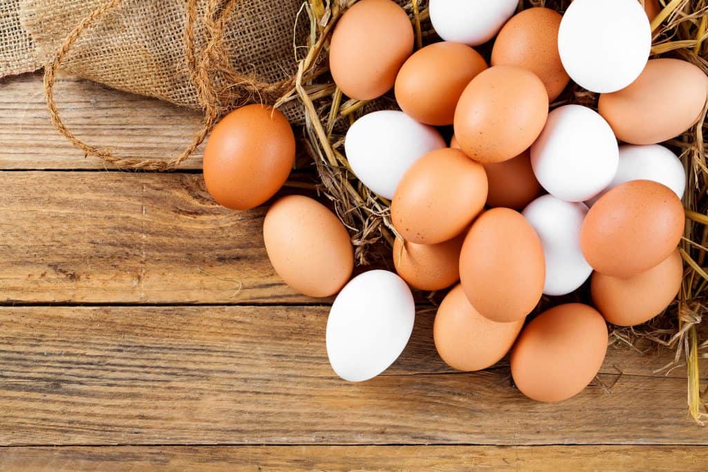 dcr oeuf