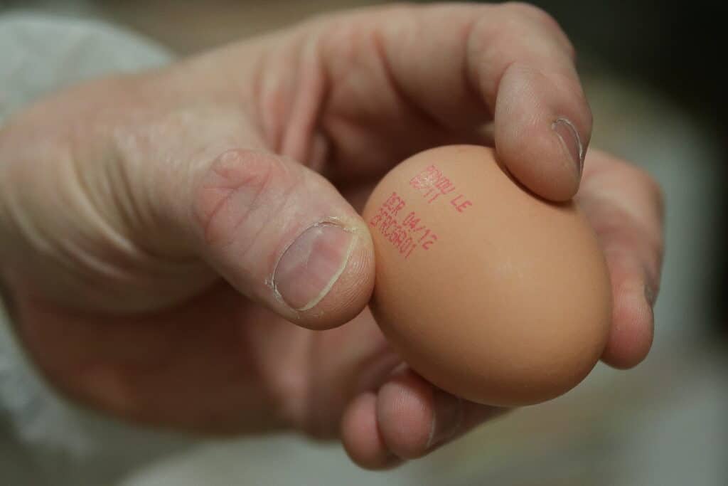 dcr oeuf signification