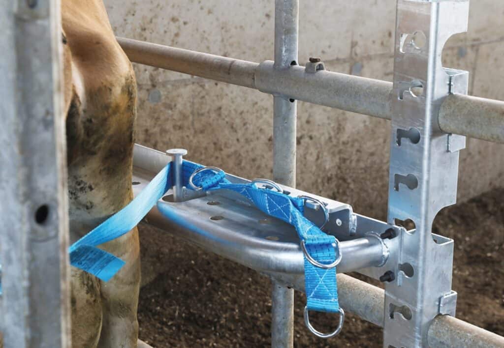 Vital Concept clôture