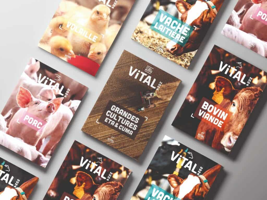 vital concept catalogue