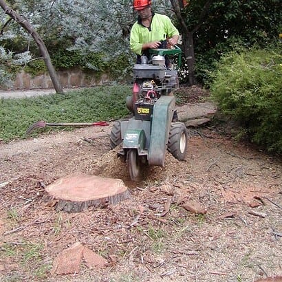 stump removal conducted by priority trees with man using machine