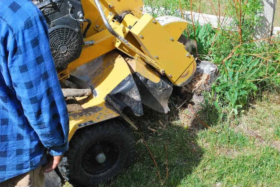 Worker operating a yellow stump grinding machine to remove a tree stump in an Australian backyard.