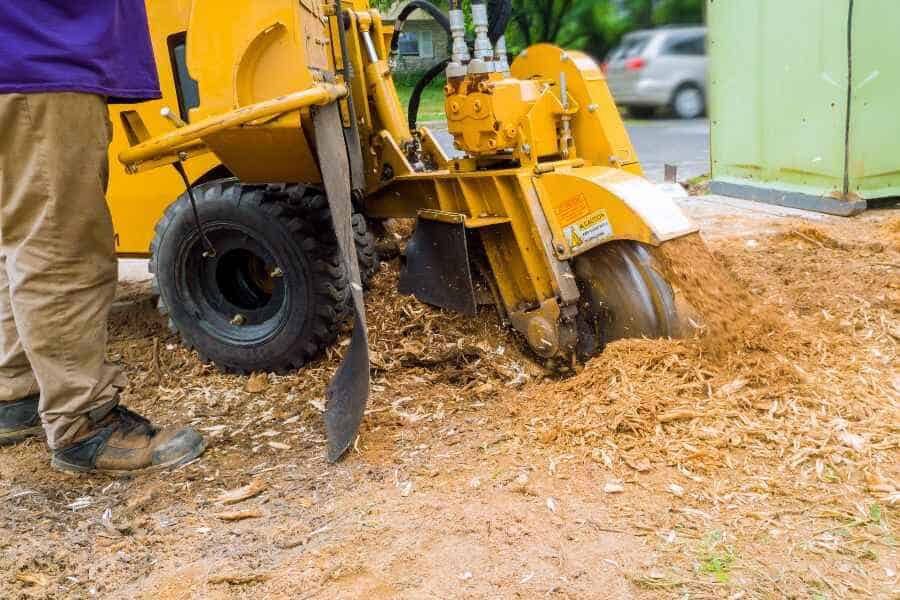 Worker using a yellow stump grinder, spraying woodchips while removing a tree stump in a yard.
