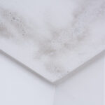 moisissure plafond salle de bain malgré vmc