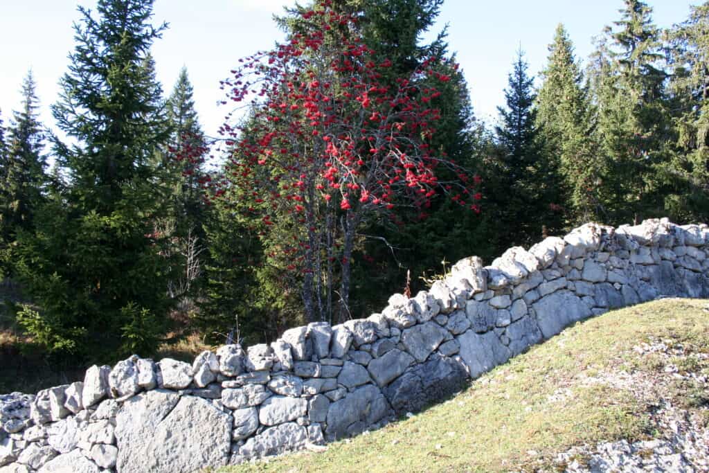 consolider un mur en pierre intérieur qui penche