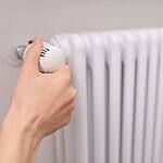 ne pas brancher fil pilote radiateur