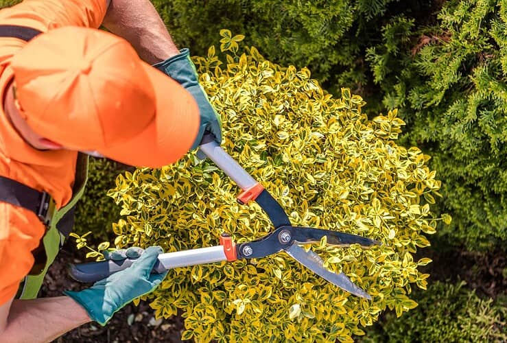 taux horaire jardinier au black