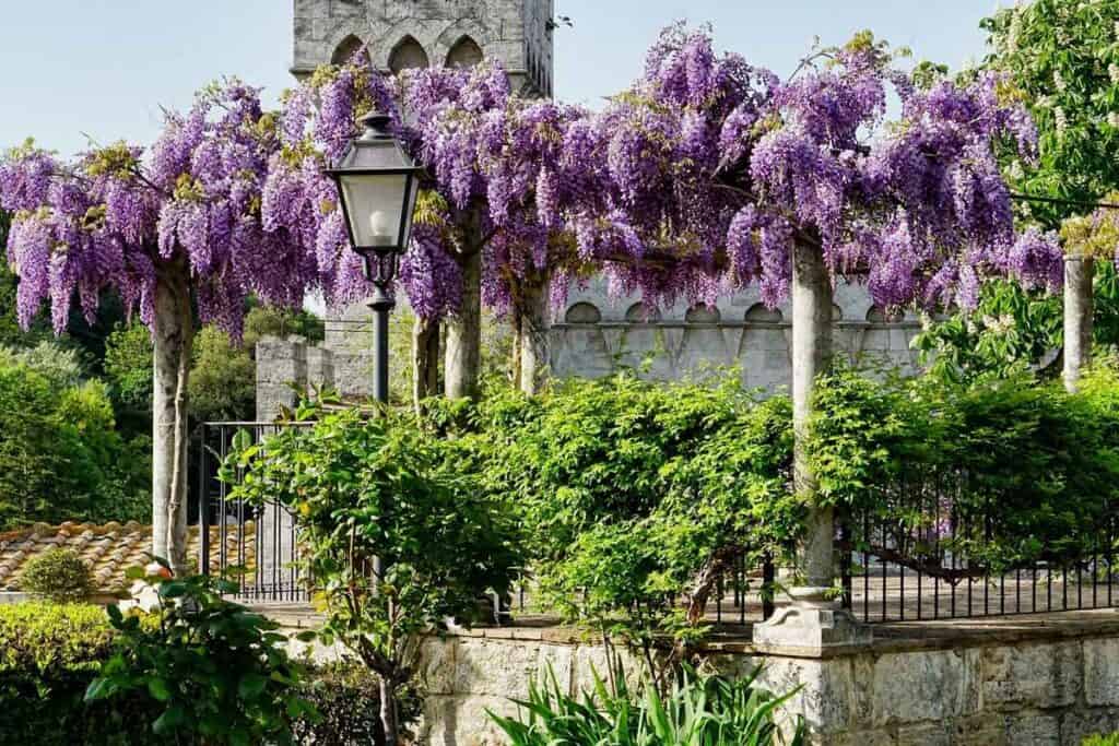 fabriquer support glycine