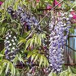 fabriquer support glycine 1