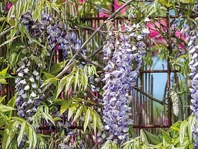 fabriquer support glycine 1