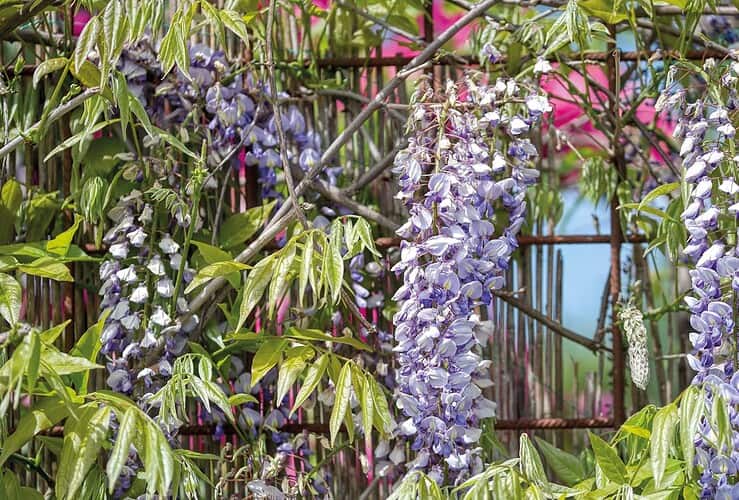 fabriquer support glycine 1