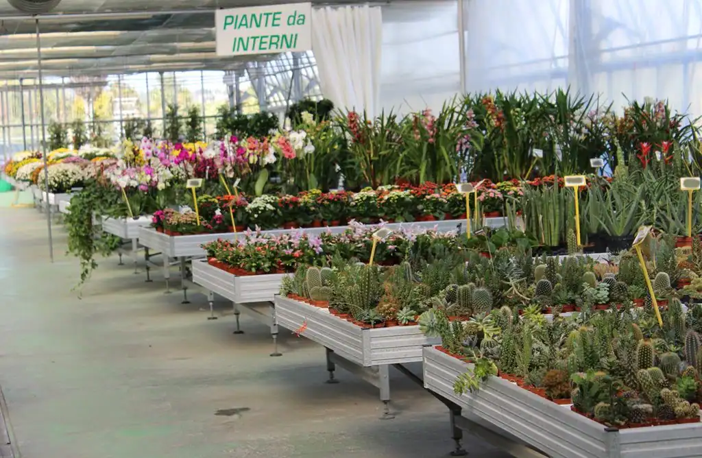 Linea Verde Giardino plantes