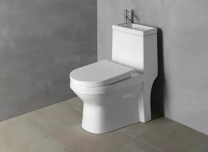 WC avec lave-main intégré pose