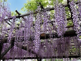 Fabriquer un support pour glycine