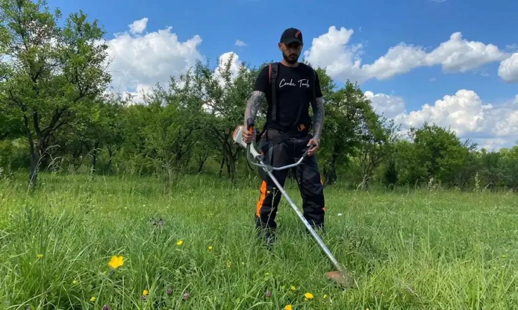 STIHL FS 55 avis