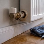 radiateur eau fuite clapet retour