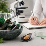 moule verte pour humain avis