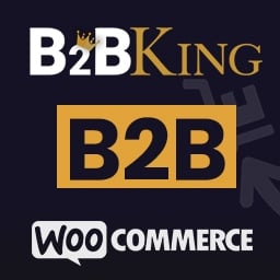 B2BKing 