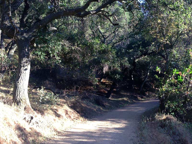 Long Canyon Trail Image1