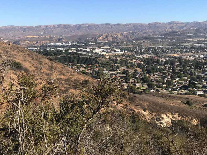 Mt Mccoy Trail Image1