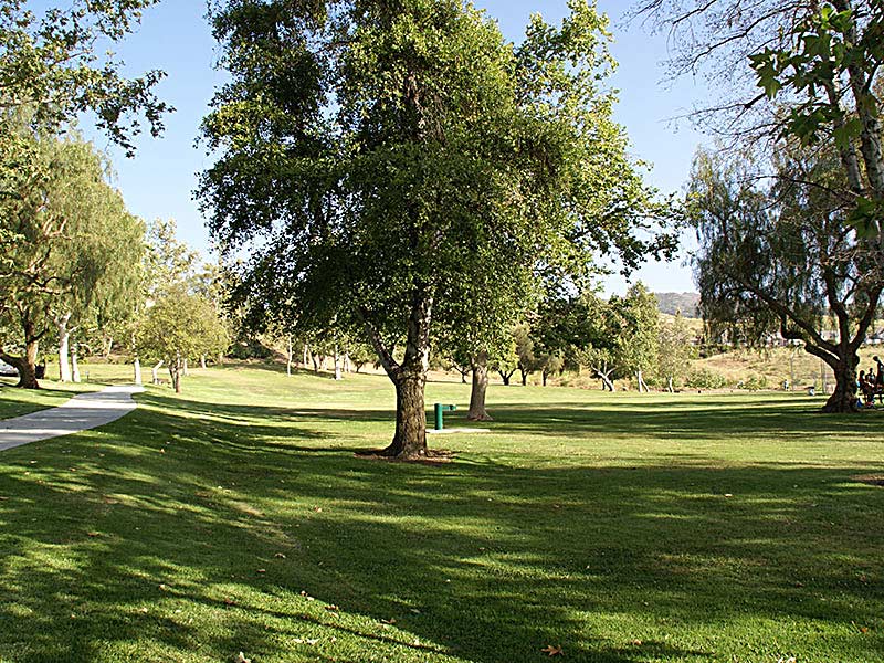 Sycamore Park Image4