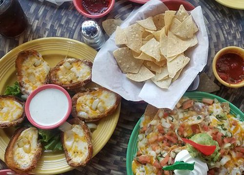 Yolandas Feature 500x360