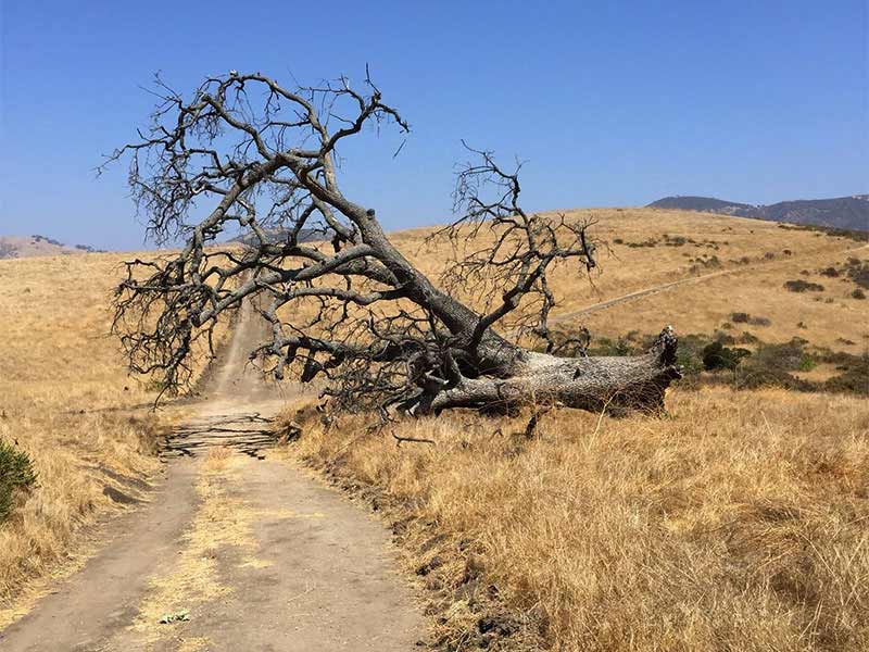Las Llajas Trail Image4