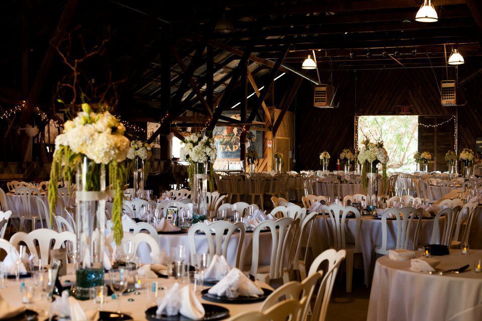 383262 10150386564166705 682841185 N