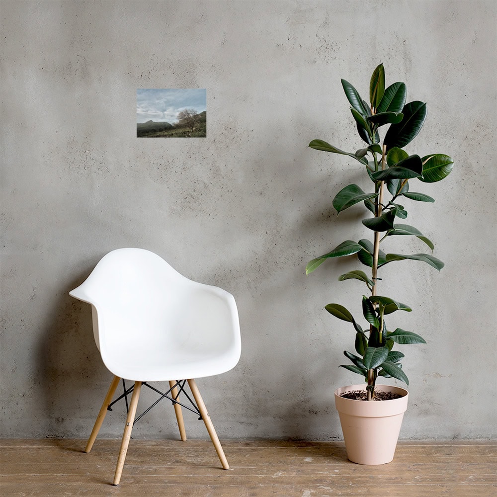 Junto a una moderna silla blanca, contra una pared de hormigón gris, hay una planta de caucho en maceta, con el cartel "Camino Virgen del Pino" enmarcado y colgado encima. La habitación tiene una estética minimalista con suelo de madera.