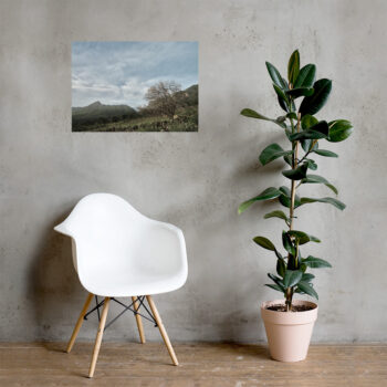 50×70 cm
