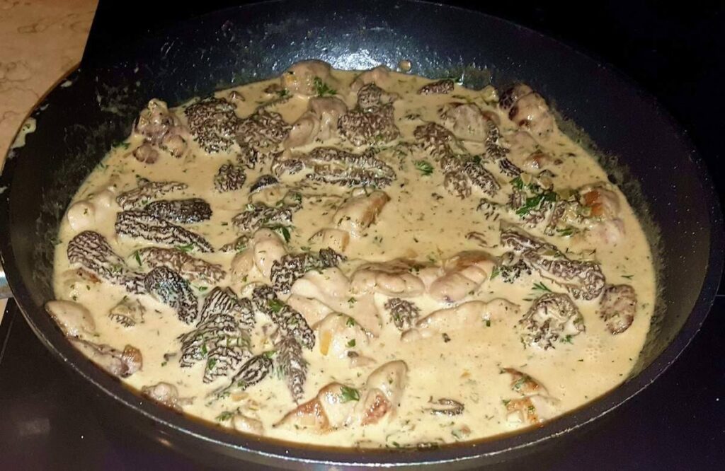 accompagnement avec des ris de veau aux morilles
