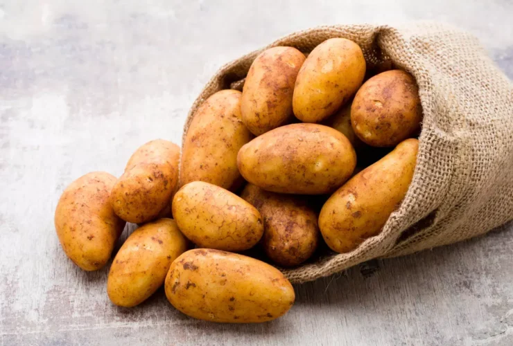 1 kg de pommes de terre combien de personnes