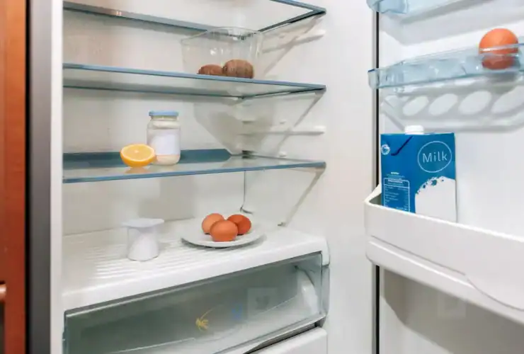 frigo vide Que faire comme recette quand le frigo est vide ?